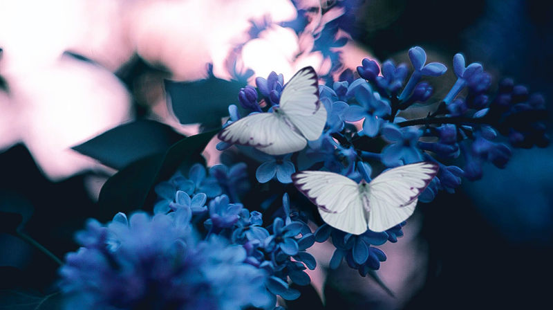 Invitasjon til sorggruppe for ungdom