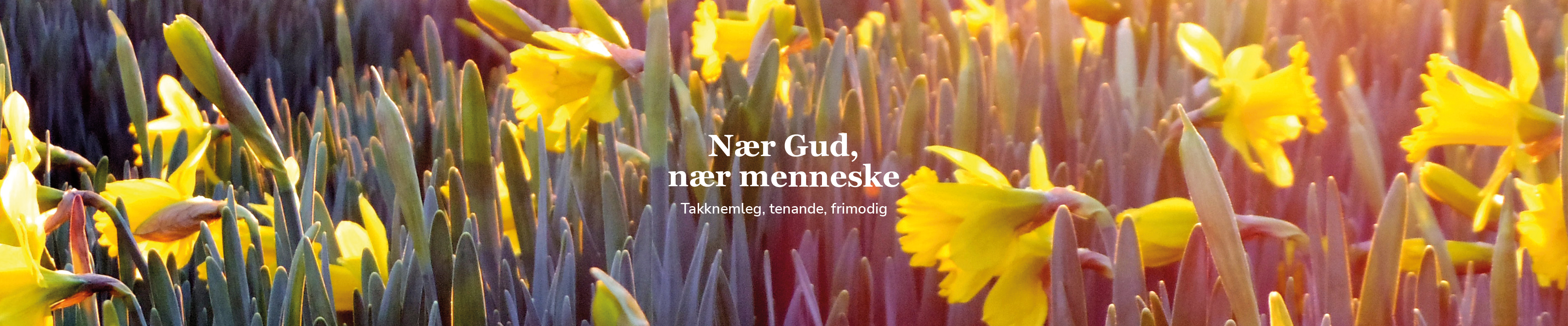 Toppbilde for Øygarden kyrkjelege fellesråd