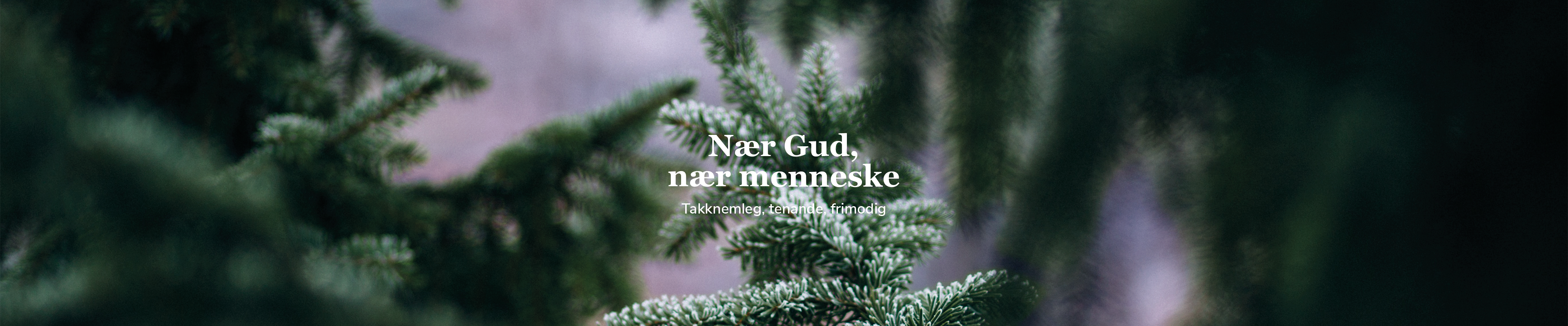 Toppbilde for Øygarden kyrkjelege fellesråd