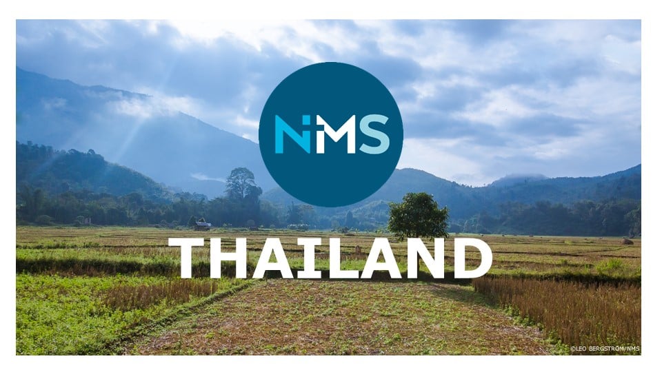 Misjonsprosjekta i Foldnes kyrkje