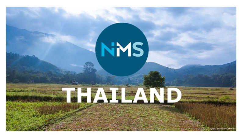 Misjonsprosjekta i Foldnes kyrkje