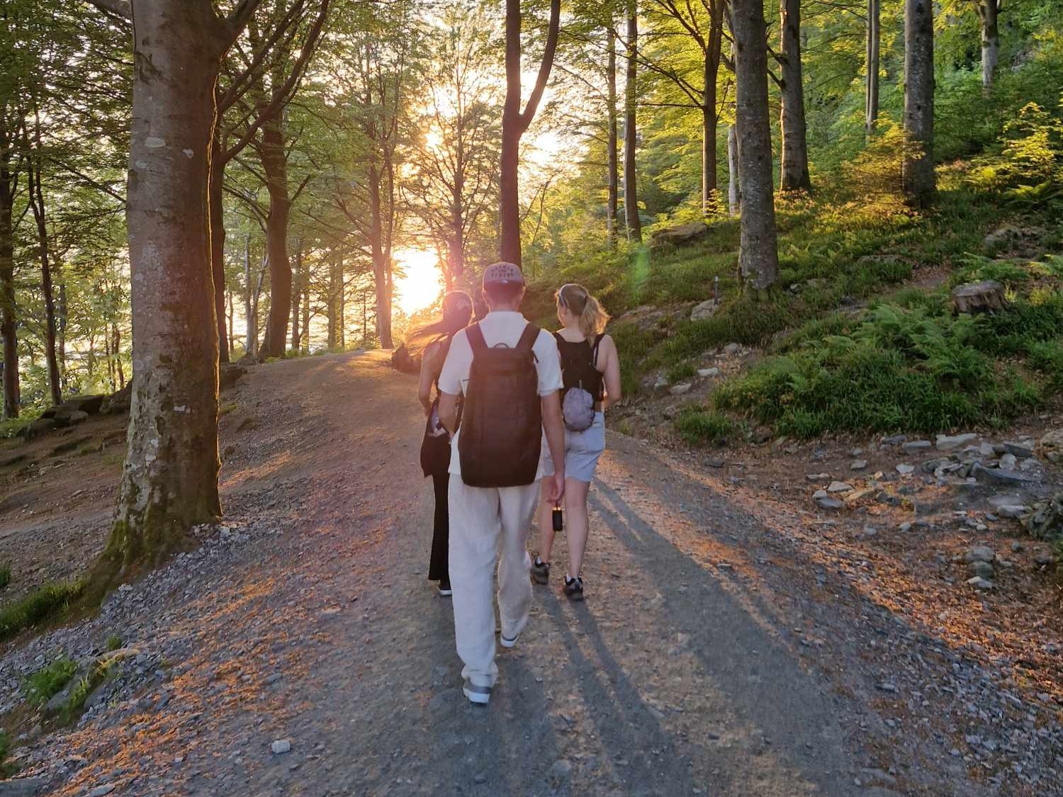 Ungdommar går på ein grussti., det er grønne trær rundt dei og sola held på å gå ned.