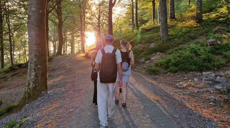 Ungdommar går på ein grussti., det er grønne trær rundt dei og sola held på å gå ned.