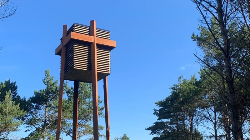 Klokkeringing for Ukraina søndag kl. 13