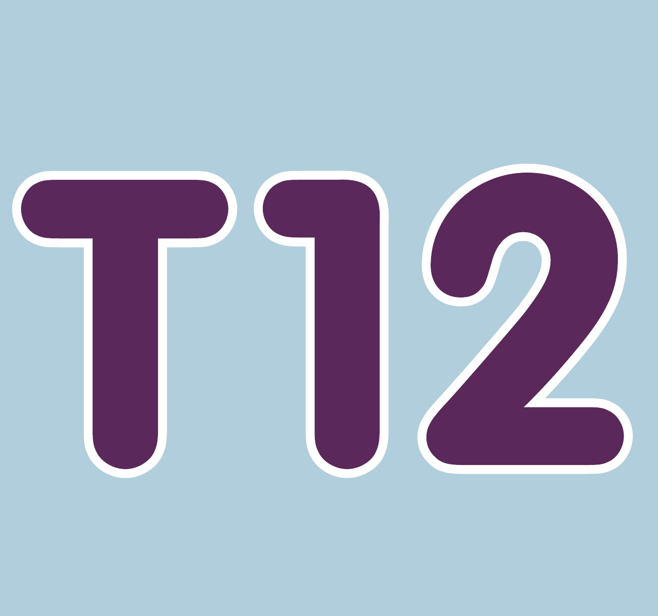 T12 - LysVaken