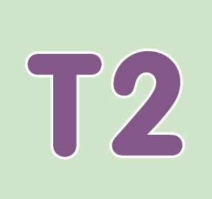 T2