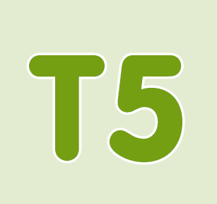 T5