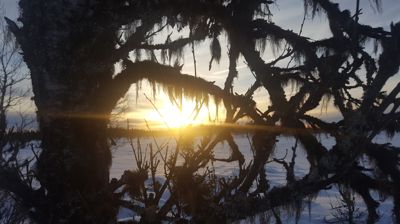 Foto Oddveig Holdal Weeg