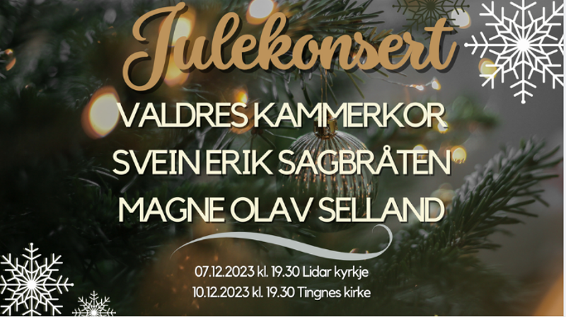 Julekonsert Valdres kammerkor