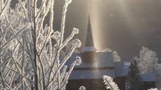 Foto Liv Astrid Reinlie