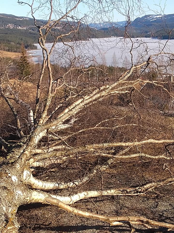 Foto: Eli Vatn