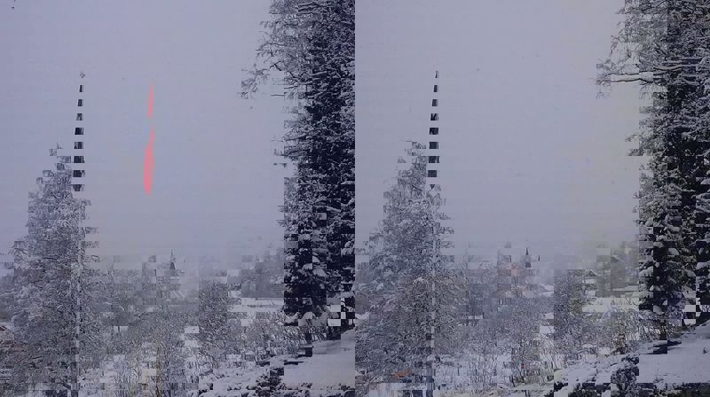 Ord for dagen - 01.05.2020 av sokneprest Eli Vatn