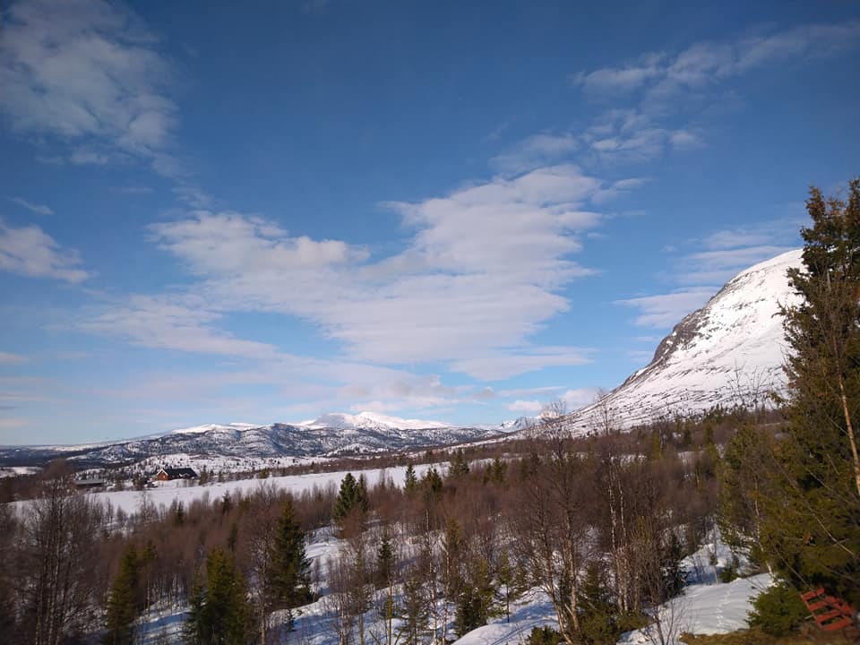 Foto: Eli Vatn