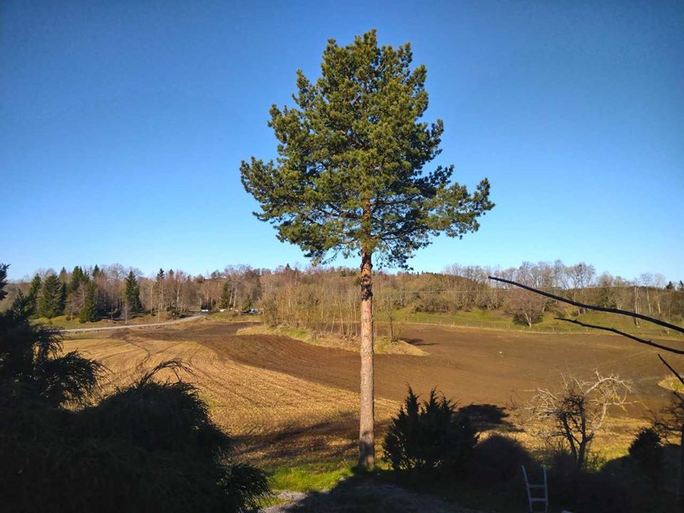 Foto: Eli Vatn