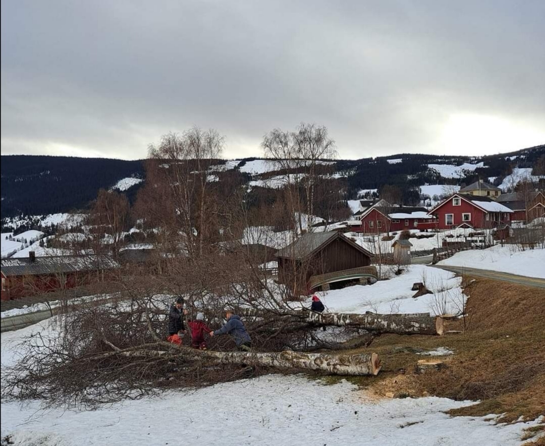 Foto Eli Vatn