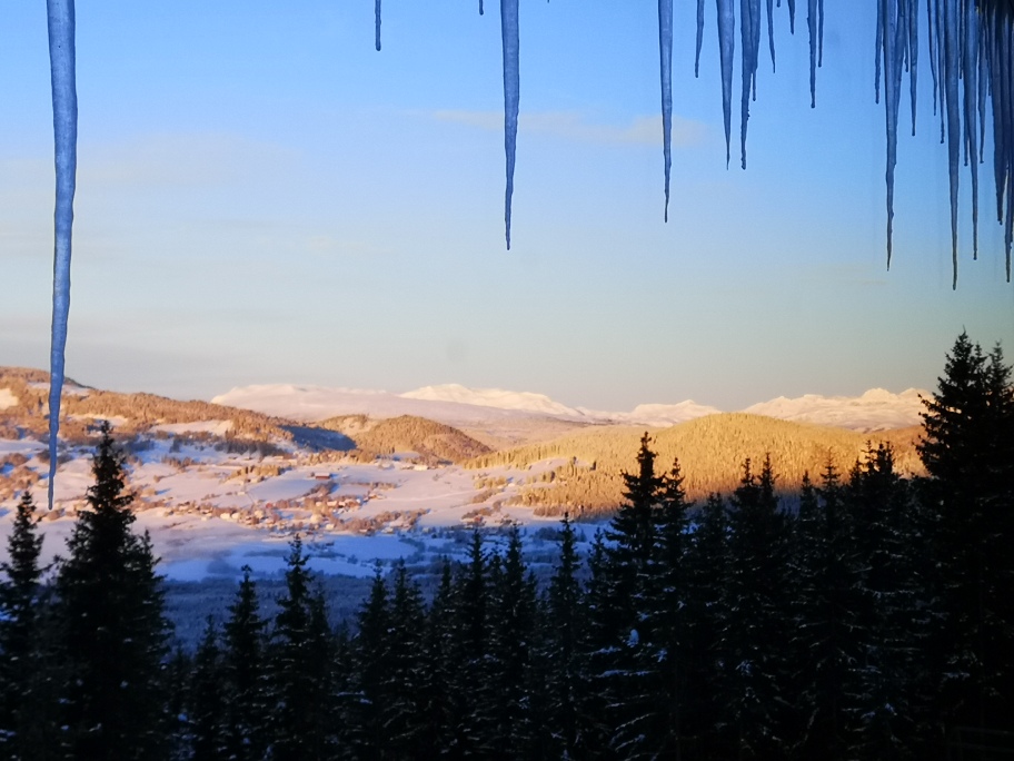 Volbu foto: Oddveig Holdal Weeg