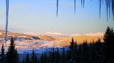 Volbu foto: Oddveig Holdal Weeg