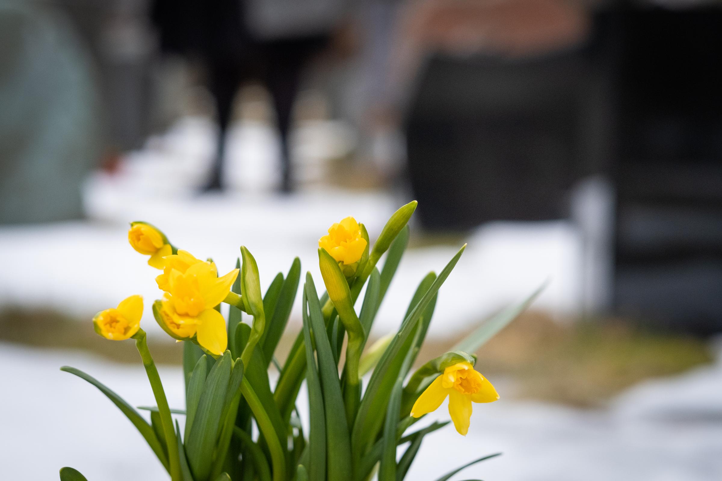 Feste, fredningstid, gjenbruk og sletting av grav