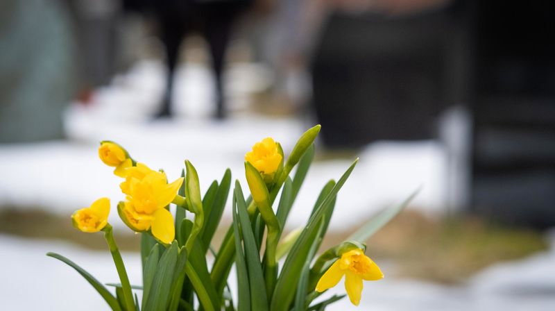 Feste, fredningstid, gjenbruk og sletting av grav