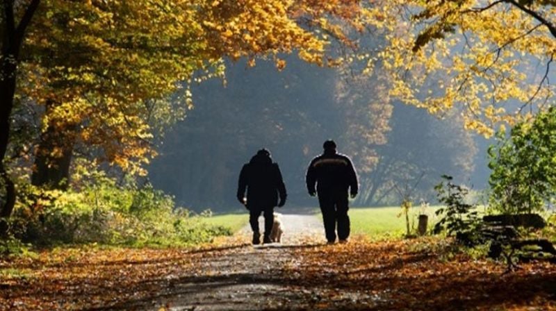 Velkommen for en tur og litt prat gjennom høsten