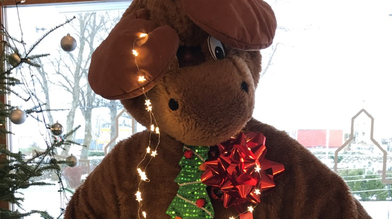 Bli med på digital familiegudstjeneste julaften kl 13.00