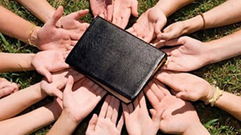 Nyhetsbrev høst 2021