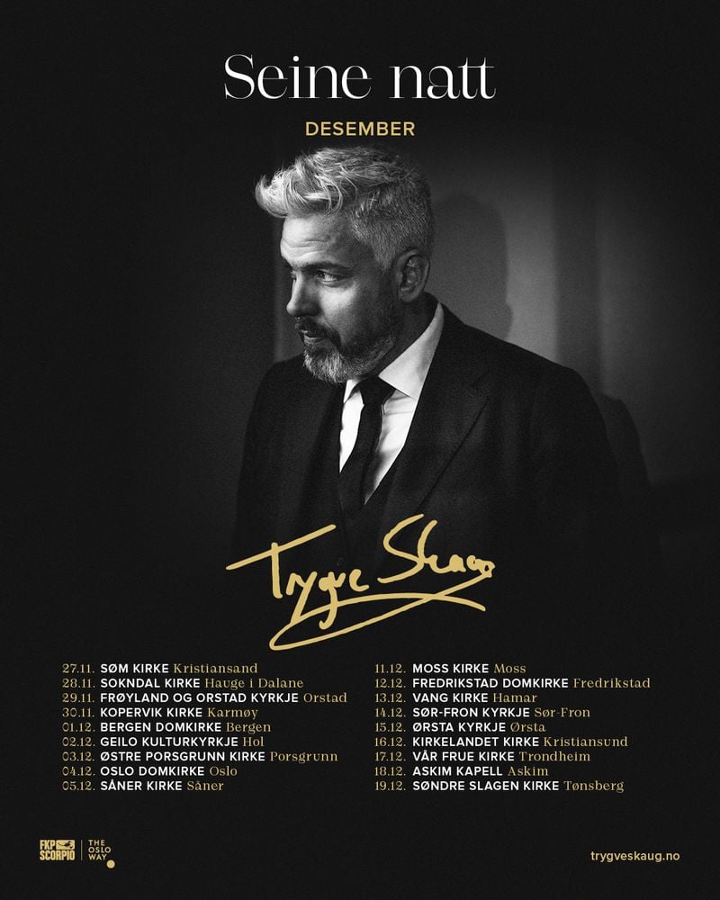PLAKAT Trygve Skaug: Seine natt desember 27.11.