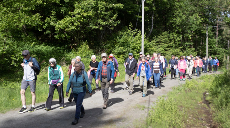 Pilegrimsvandring mai 2025