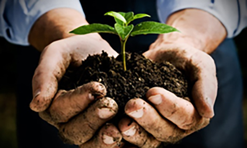 Vær med og gi gode vekstforhold i Randesund!