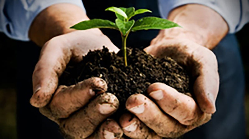 Vær med og gi gode vekstforhold i Randesund!