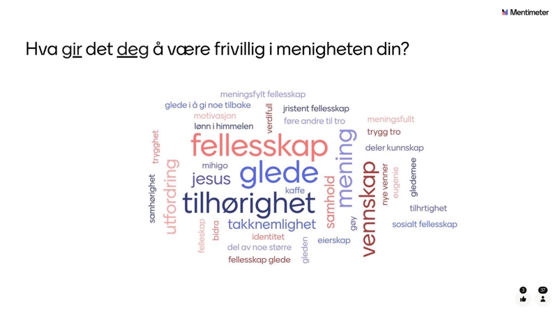 Hva sier de frivillige selv om tjenesten sin? Hva gir den deg?