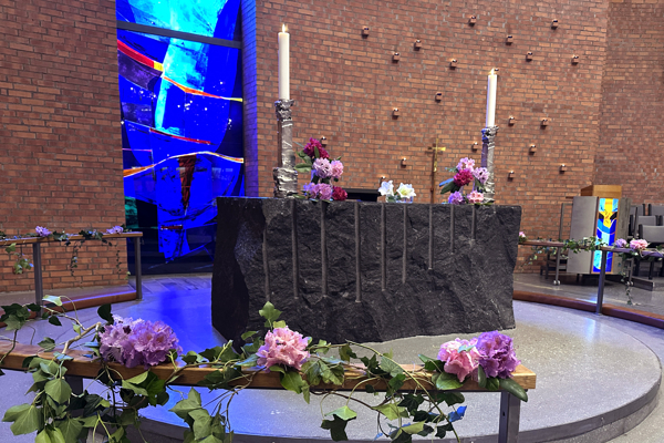 Søm kirke - alterparti pyntet med rhododendron-blomster m.m.