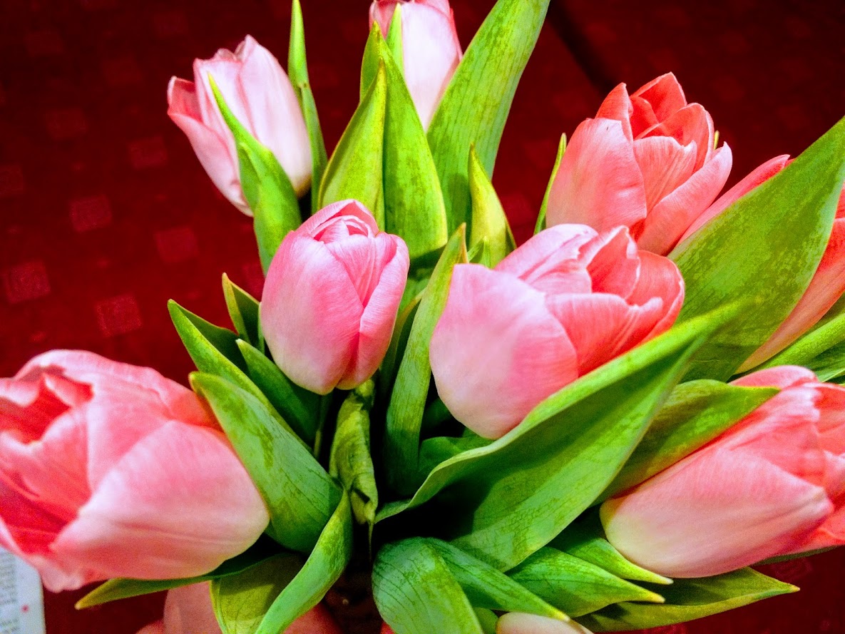 Velkommen til menighetenes årsmøter