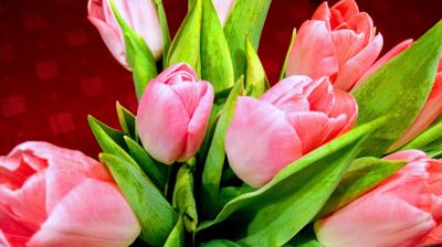 Velkommen til menighetenes årsmøter