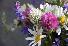 Setermesse på Nåvsætra - Innset