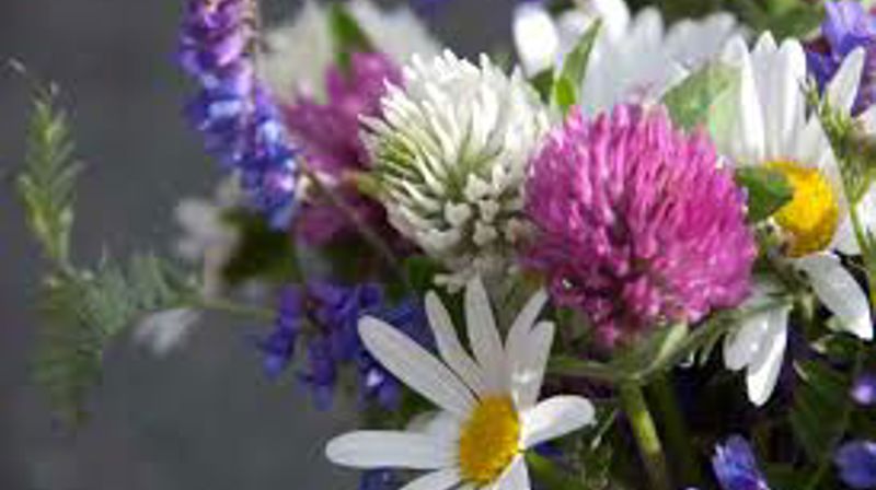 Gudstjenester i Rennebu sommeren 2018