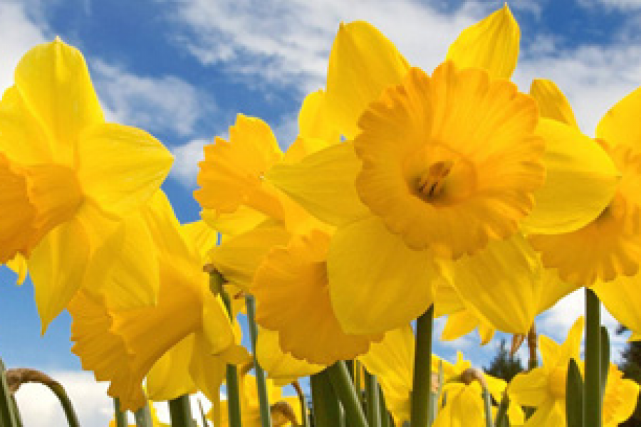 Velkommen til gudstjeneste i påsken!