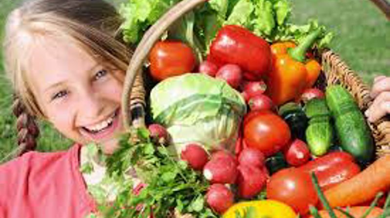 Velkommen til familiegudstjeneste med høsttakkefest i Rennebu kirke 29 September kl 11:00