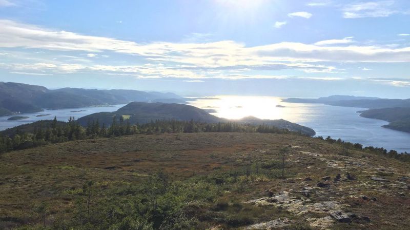 Indre Fosen kirkelige fellesråd (Leksvik og Rissa)