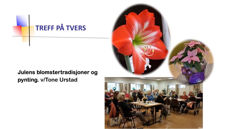 Treff på tvers i Ekholt kirke torsdag 1.desember kl. 12.00