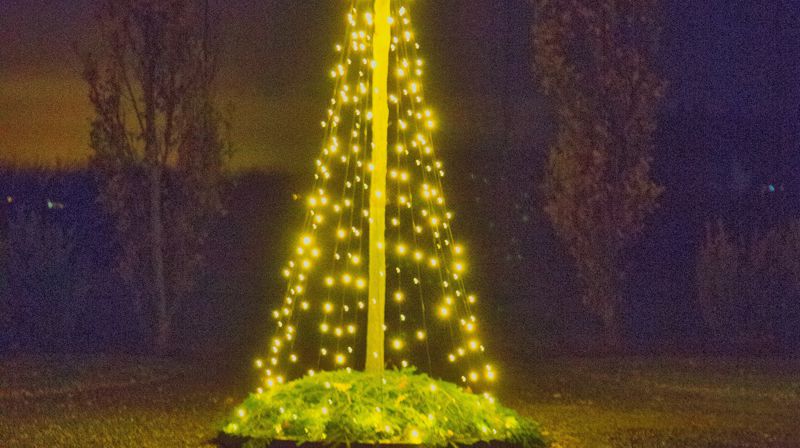 Juletrefest i Ekholt kirke