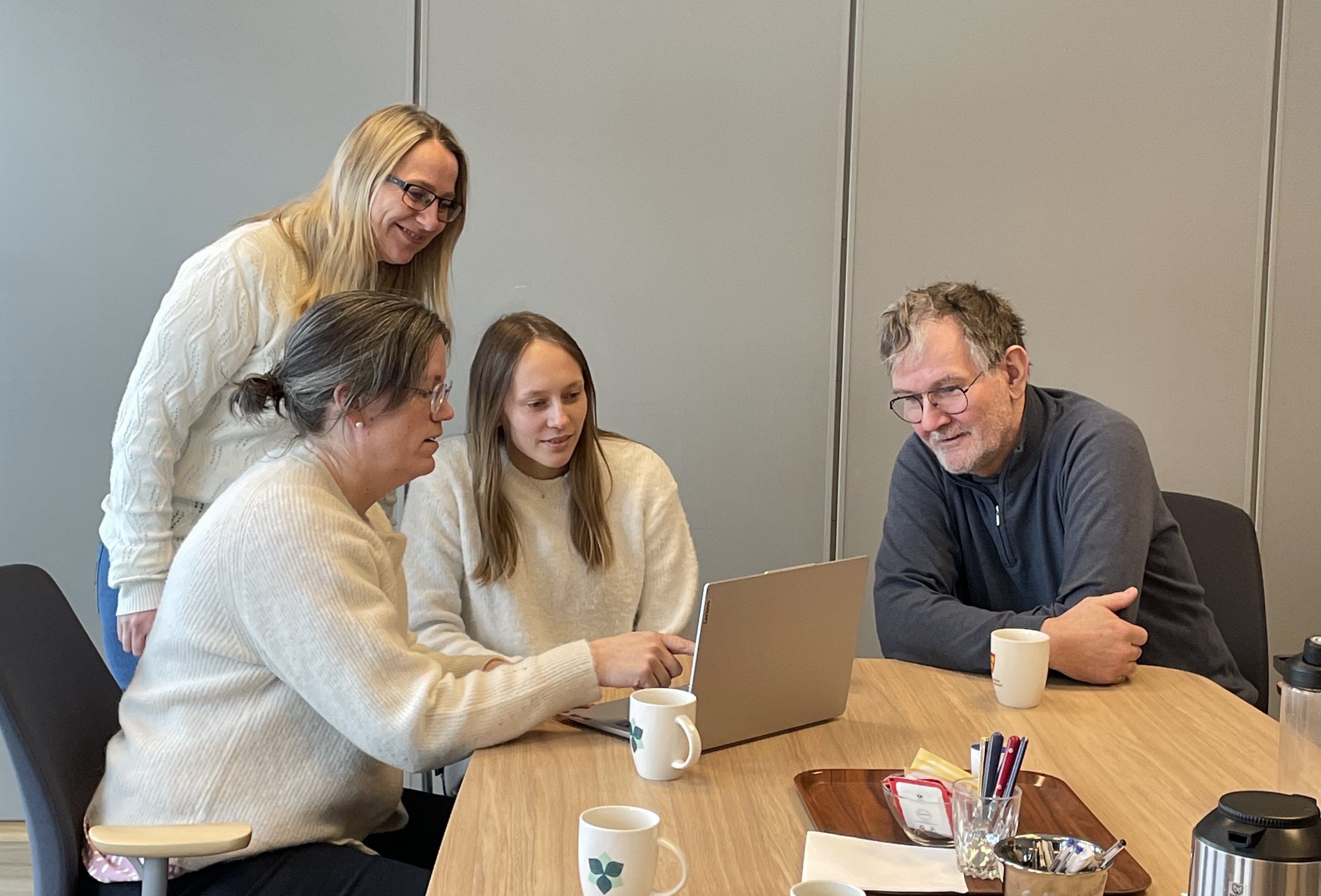 Styringsgruppa i arbeid