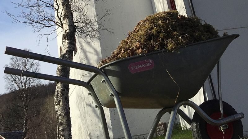 Vårdugnad på gravlunden