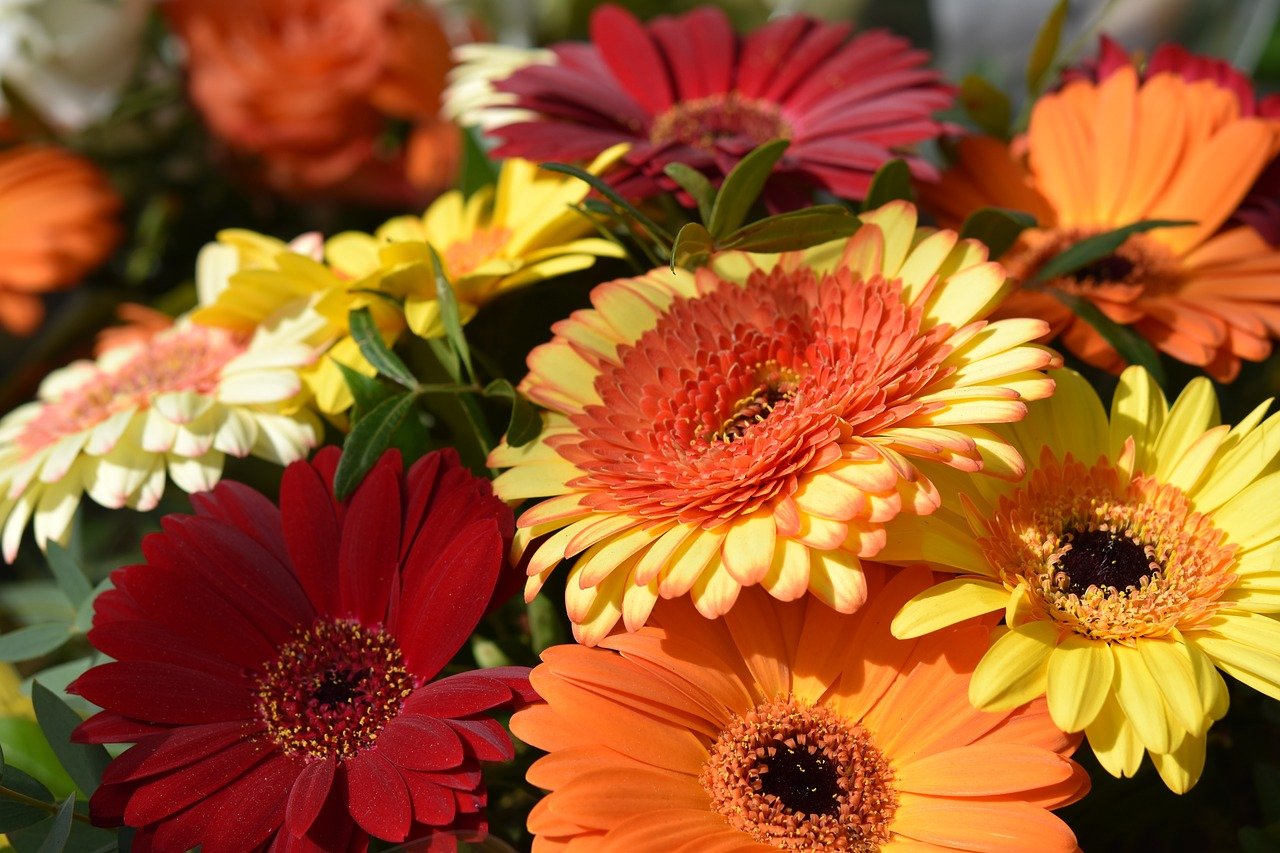 Illustrasjonsfoto: Pixabay