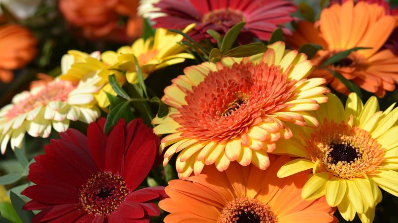 Illustrasjonsfoto: Pixabay