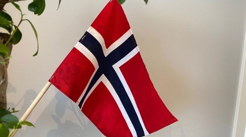 17.mai gudstjenester i Skaunmenighetene