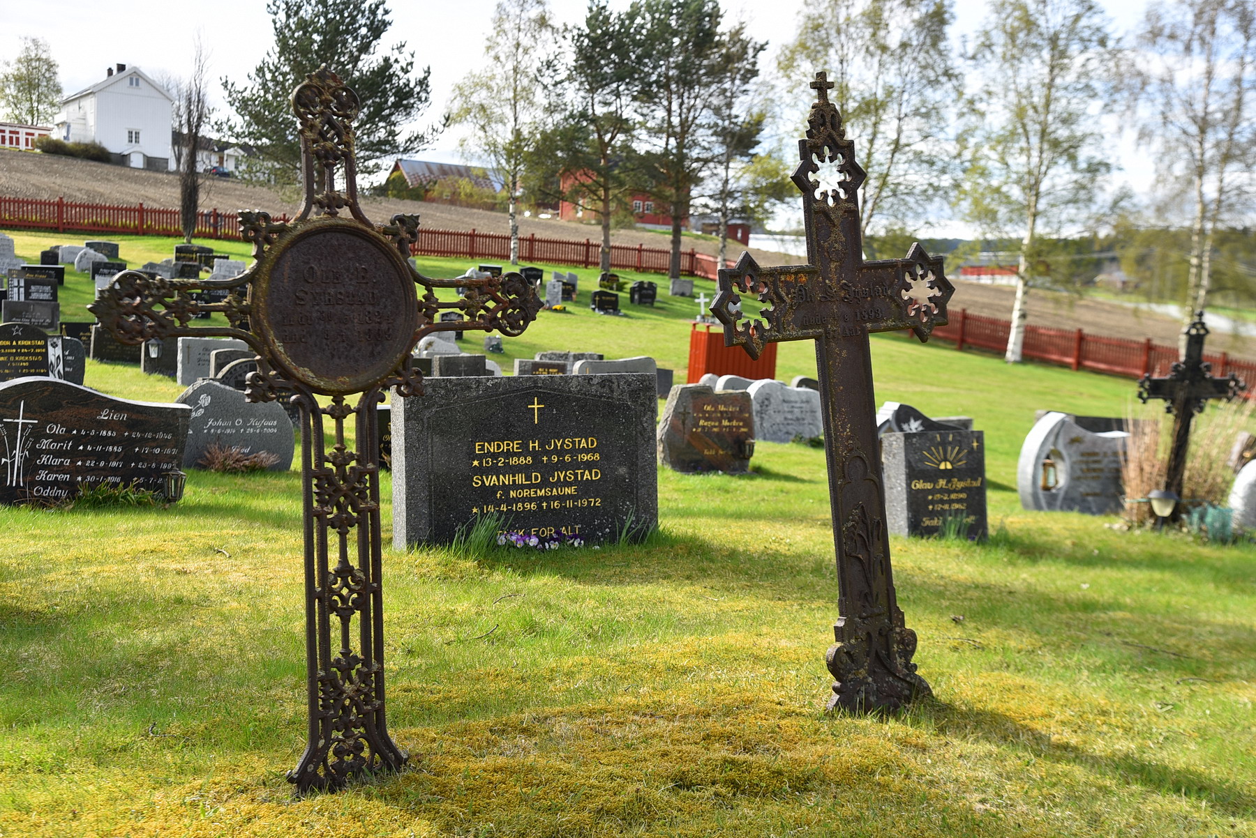 Festegrav eller frigrav