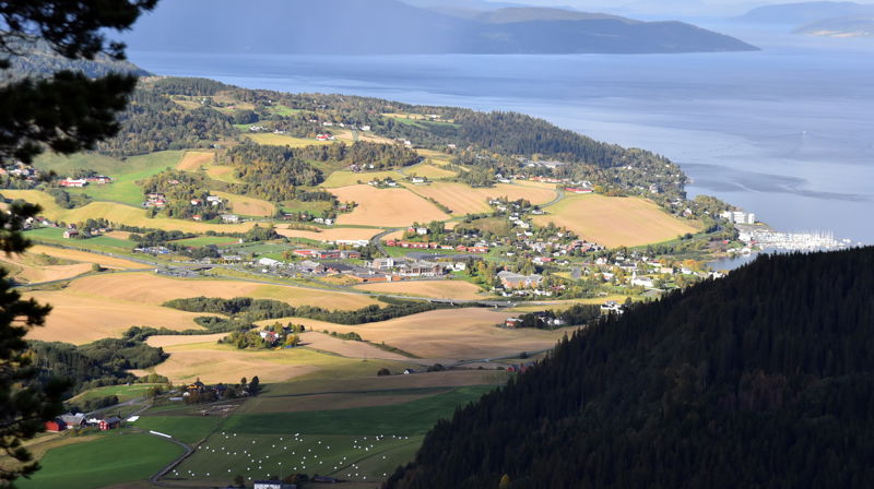 Årsmøte i Børsa menighet