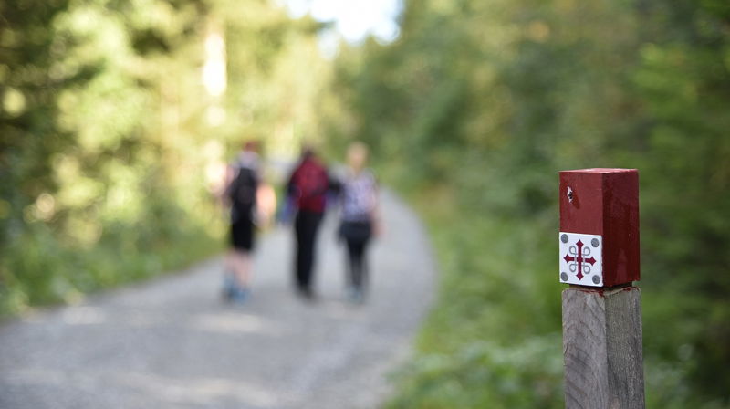 Telt, leir og bålbrenning