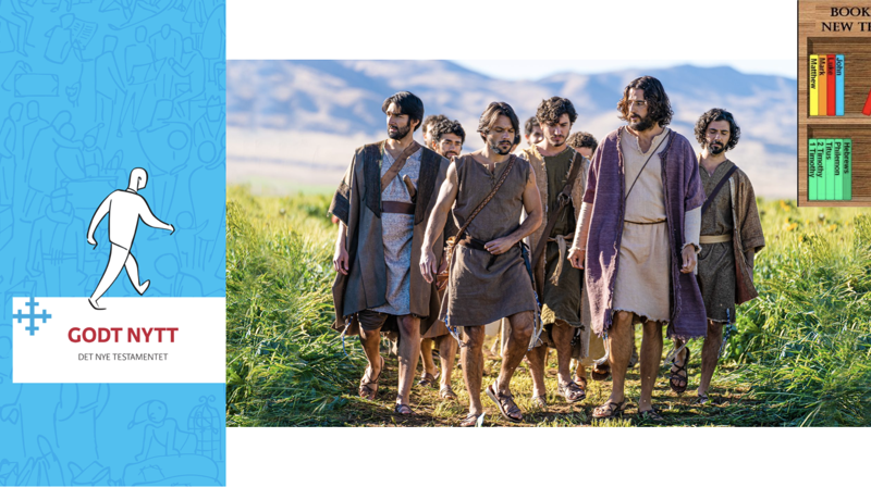 Bibelutdeling for 5.-klassinger